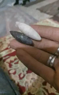 مهره قدیمی وجدید باارزش‌ترین قیمت