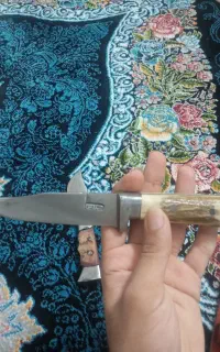 چاقو دسته شاخ و استخون