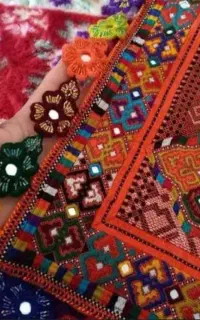 انواع کریشی پذیرفته میشود