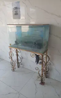 اکواریم