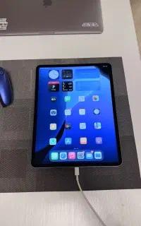 Ipad pro 13inch 2020 256
