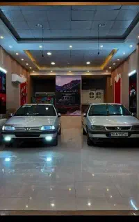 واکس و پولیش ، احیای رنگ ، سرامیک بدنه (دیتیلینگ)