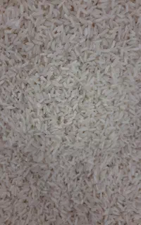 برنج هاشمی درجه یک سال قبل