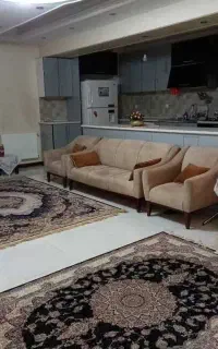 خانوم جهت نظافت