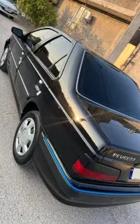 پارس مشکی ۴۰۱