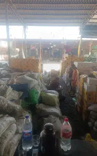 پخش کشمش آفتابی تهران و شهرستانها