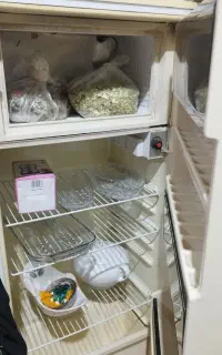 یخچال آزمایش
