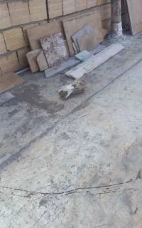 هفت رنگ