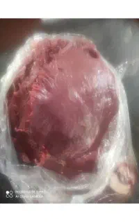 غذای سگ و گربه