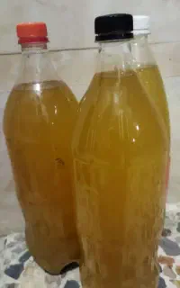 فروش ابغوره