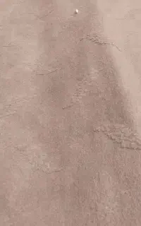 باسلام