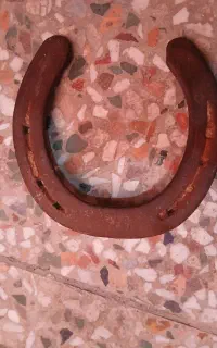 نعل اسب
