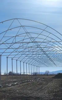 نیروی کار ساده وفنی 17 الی 30 ساله