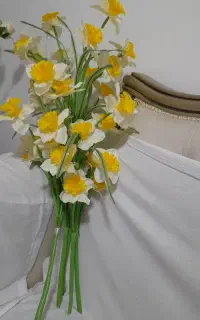 گل نرگس ۵شاخه سالم