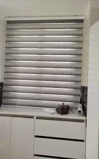 پرزده زبرا
