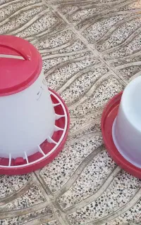 دانه خوری و آب خوری مرغ و خروس