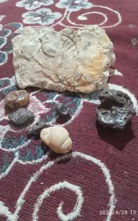 سنگ قیمتی واصل