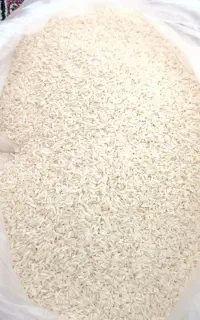 فروش برنج آستانه اشرفیه