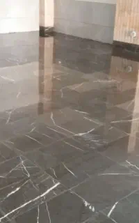 شرکت خدماتی،نماشویی وکفسابی نگین طلائی هیرسا