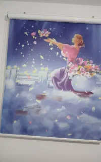 پرده زبرا