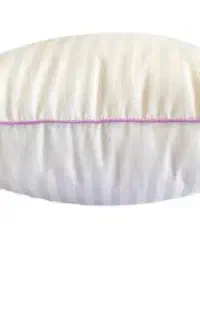 بالشت طبی دیسک کمر و گردن