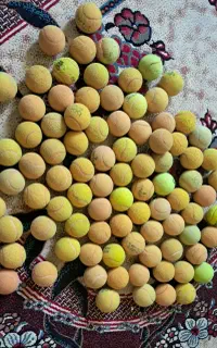 ۷۰ عدد توپ تنیس سالم تکی و عمده