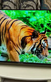 تلویزیون LED مکسن 43 اینچ هوشمند اسمارت حد صفر