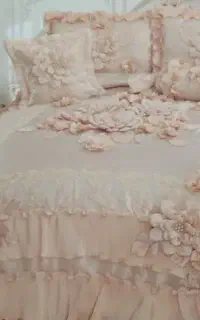 روتختی مجلسی