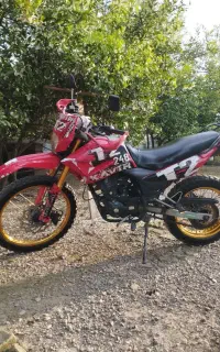 موتور 250 تریلt2