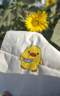 توت بگ نقاشی روی پارچه