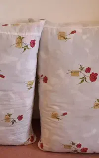 ۲ عدد پشتی