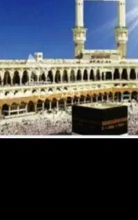 خریدار و فروشنده تعداد بالا فیش حج 30/مهر تا ده دی