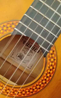 گیتار آموزشی