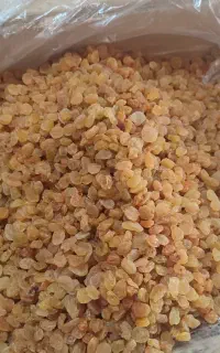 کشمش  تیزآبی و گلدن صادراتی