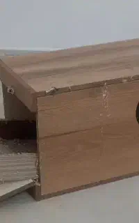 لونه عروس هلندی