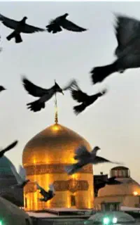 سلام کاروان مشهد فقط ۵نفر دیگه جا داریم