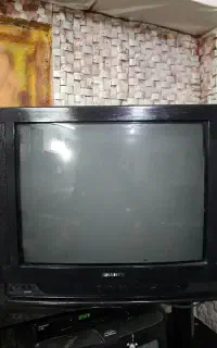 تلوزیون