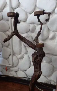 درخت طبیعی