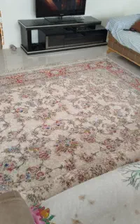 فرش بهشتی ۱۷.5 متری ابعاد ۳.۵ در ۵