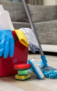 نظافت حیاط خانه