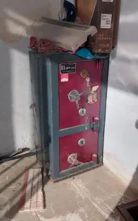 گاو صندوق ایران کاه