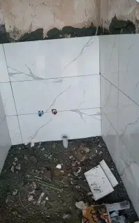 استاد کارم