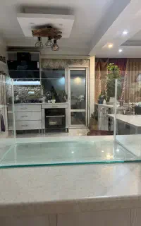 اکواریوم‌تانک‌نو اب توش نرفته