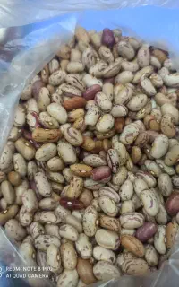لوبیا چیتی قیمت 340