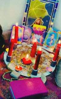 ف.ال قیمت مناسب