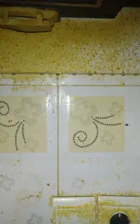 نظافت راه پله پارکینگ منزل خانه بازی مهدمدارس شرکت