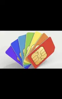 ۰۹۱۳۱۴۵۶۲**