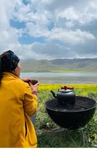 فایرپیت ذغالی کنده چوب