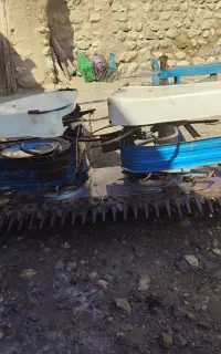 دهانه گندم چین اصل ایتالیا