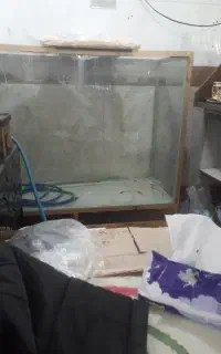 آکواریوم بزرگ برا قزل‌آلا